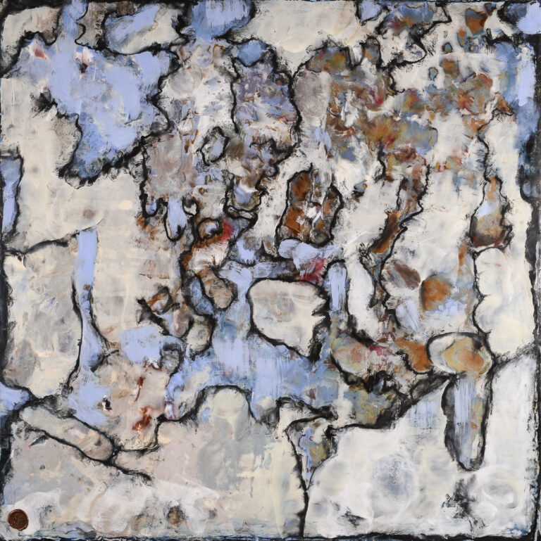 FRACTURES